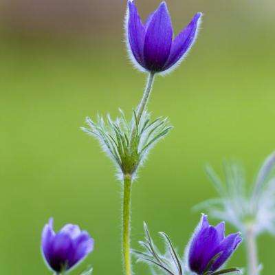 【0910早报】教师节最要紧的是祝老师们节日快乐的周二