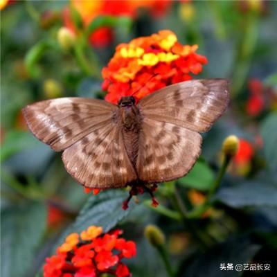 电饭煲有三个卫生死角