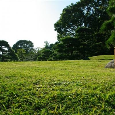 天津：超2400件动植物标本移交高校 发挥科研教学作用