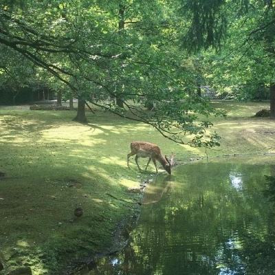 加强节日商品供应保障 确保春节市场平稳运行