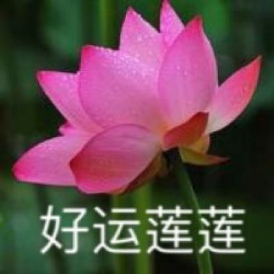 组图：《我们的翻译官》官宣开机 宋茜陈星旭联袂出演